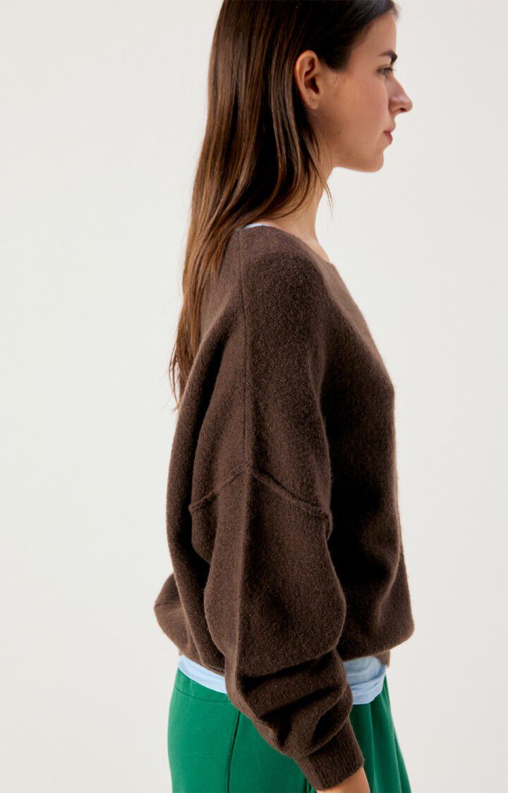 Jersey mujer American Vintage Damsville marrón, vista 7